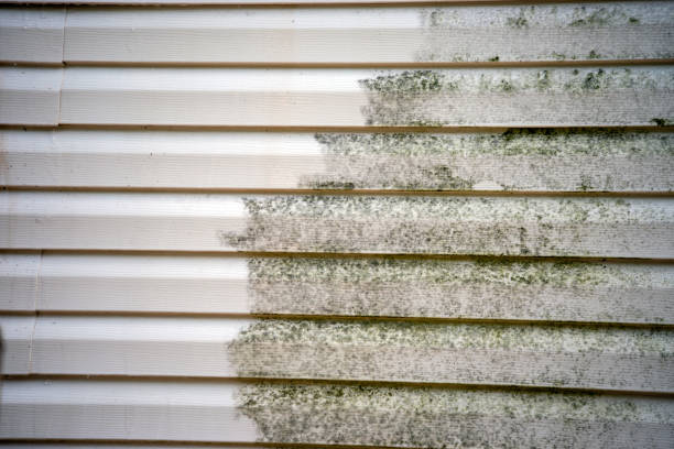Best Furniture Removal  in Kentland, IN
