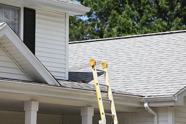 Best Carpet Removal and Disposal  in Kentland, IN